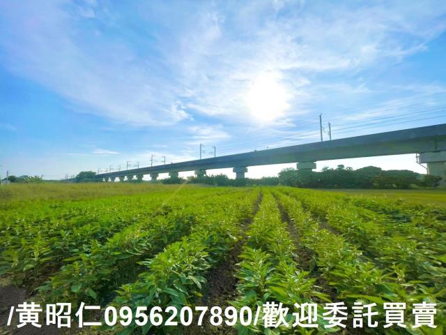 台南農地-4