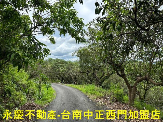 玉井農地-12