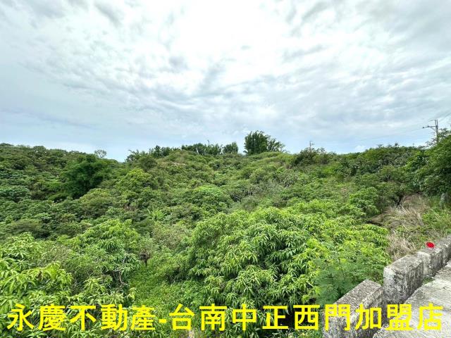 玉井農地-6