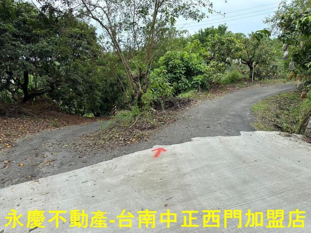 玉井農地-8