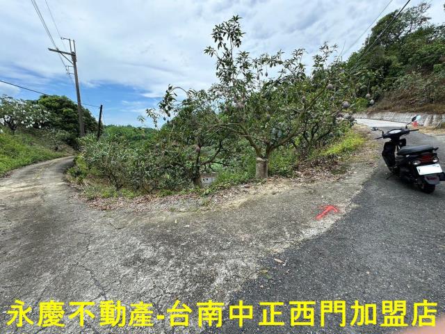 玉井農地-9