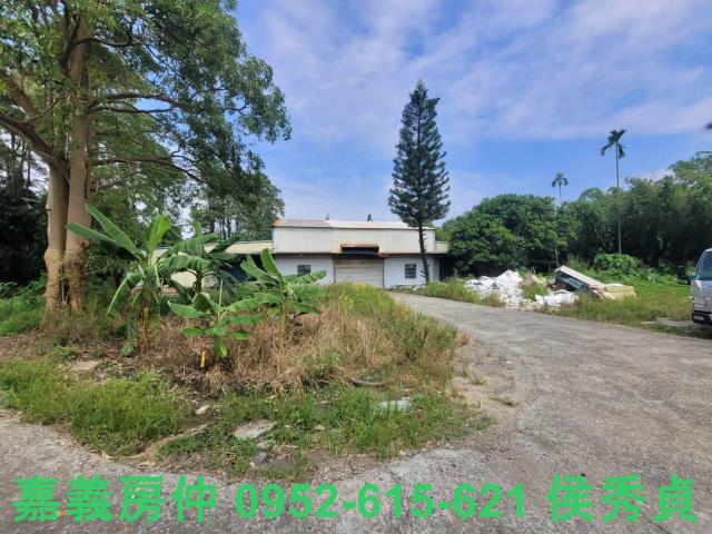 嘉義梅山農地-5
