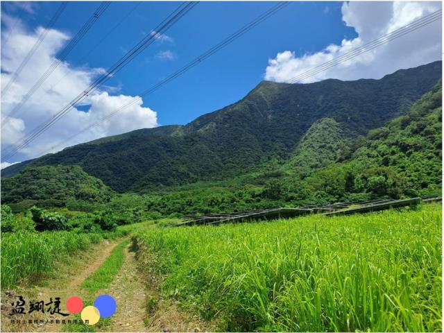 牡丹農地-3