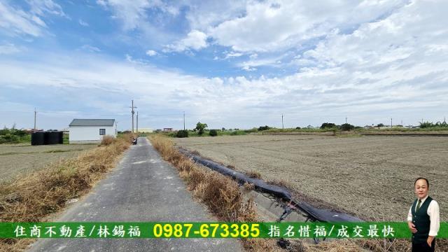 台南農地-8