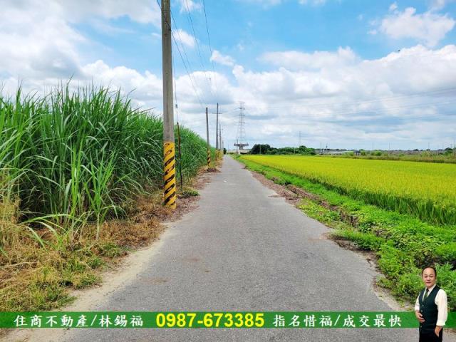 台南善化農地-11