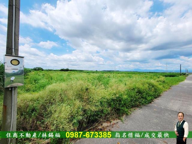 台南善化農地-2