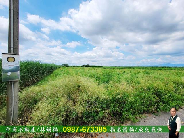 台南善化農地-3