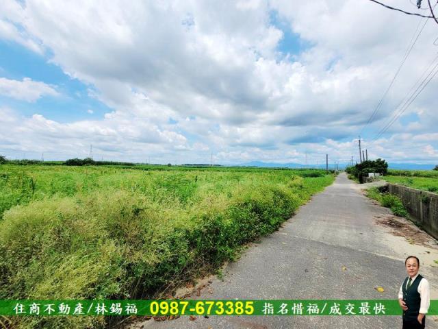 台南善化農地-4