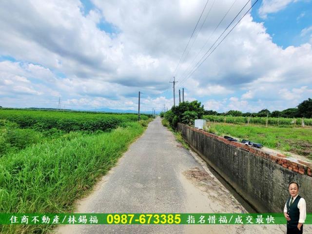台南善化農地-7