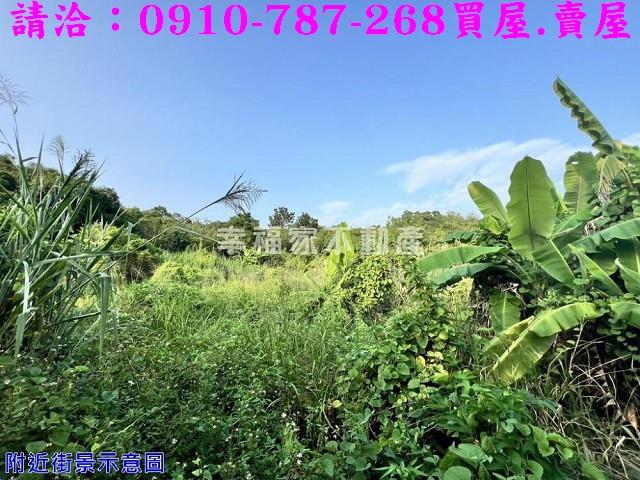 大內農地-4