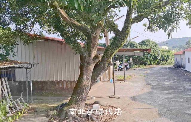 台南楠西農地-12