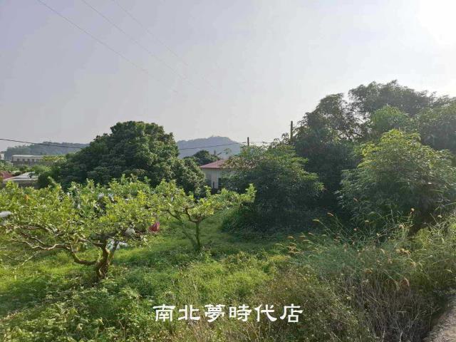台南楠西農地-14