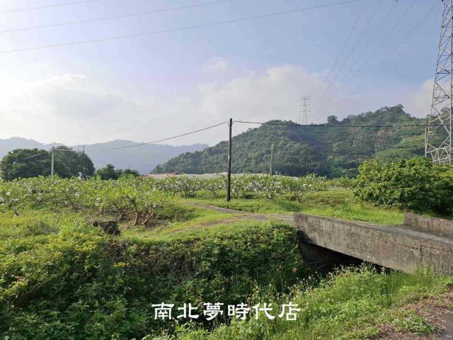 台南楠西農地-1