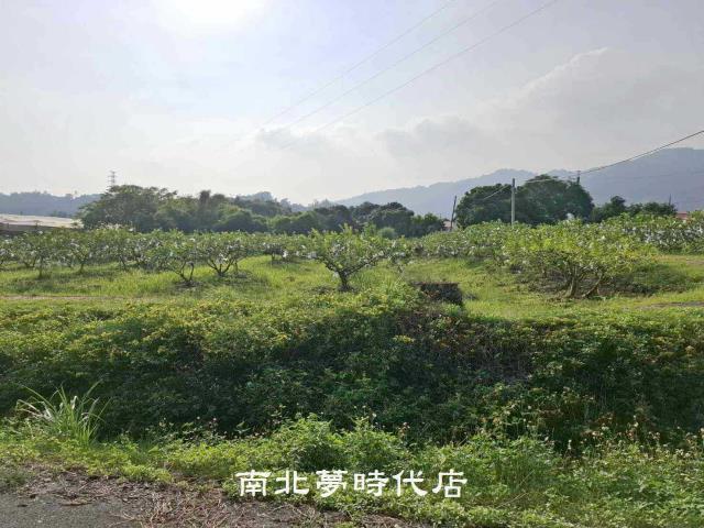 台南楠西農地-2