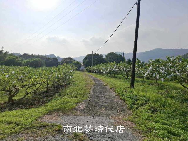 台南楠西農地-4