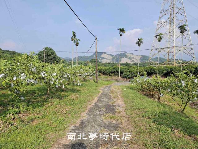 台南楠西農地-6