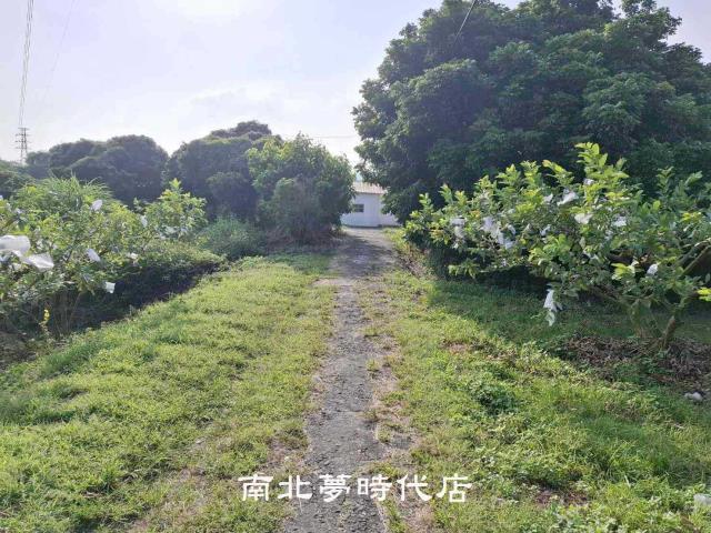 台南楠西農地-7