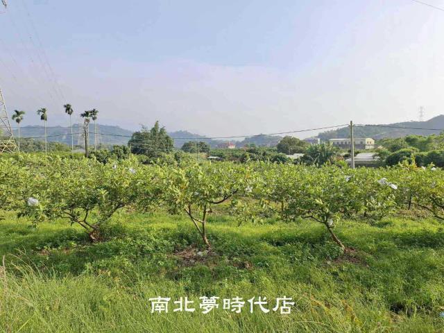 台南楠西農地-9