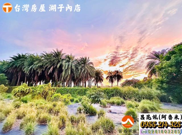 太保農地-4