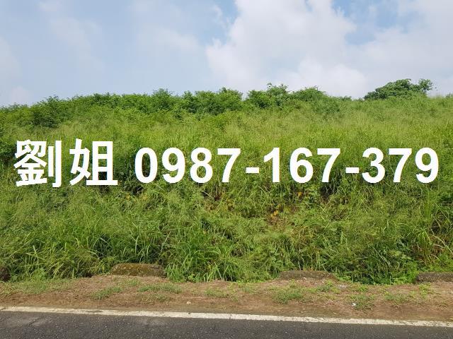 高雄農地-1