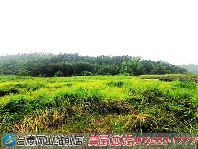 高雄內門農地-9