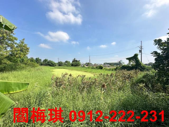 新市農地-5
