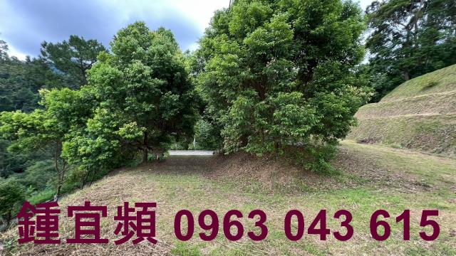 新竹北埔農地-4