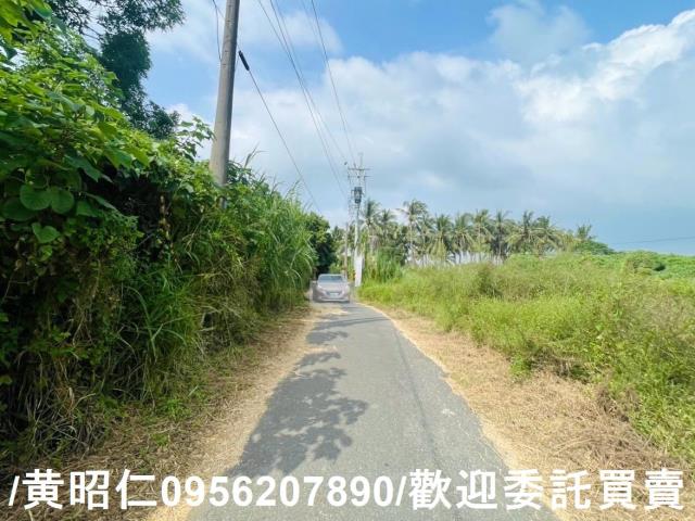 台南歸仁農地-3