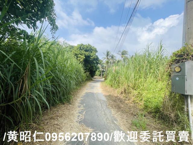 台南歸仁農地-5