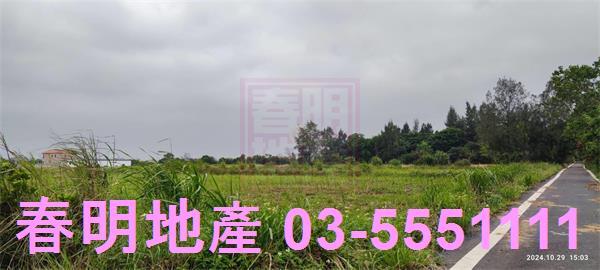 新豐農地-4