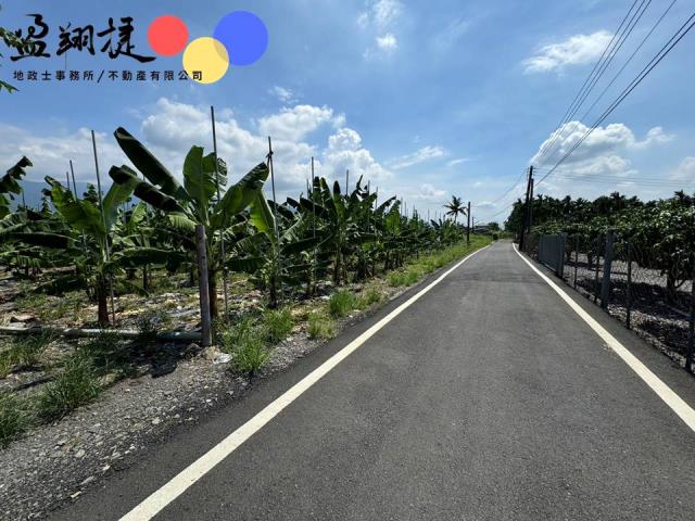 新埤農地-2