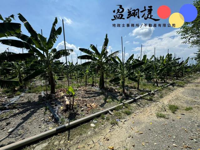 新埤農地-3