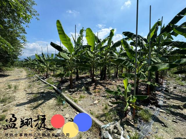 新埤農地-5