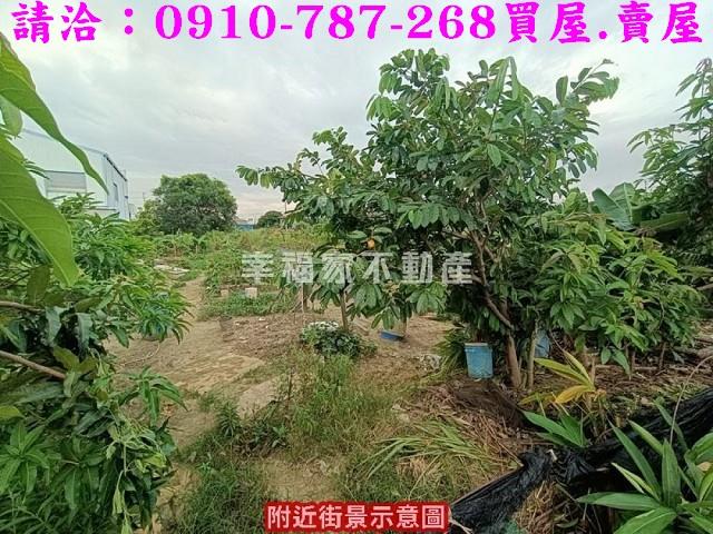 台南農地-12