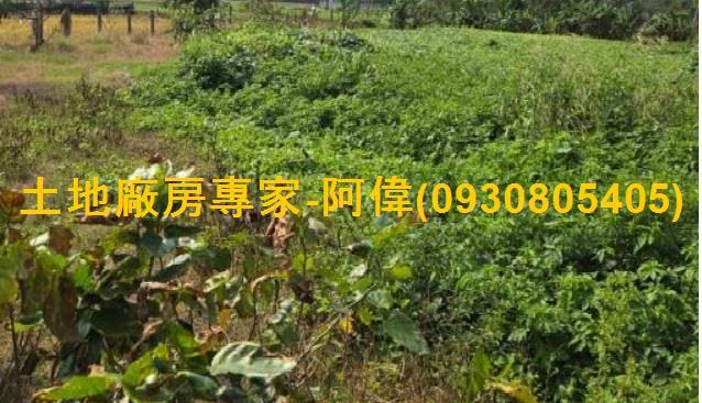 高雄林園農地-1