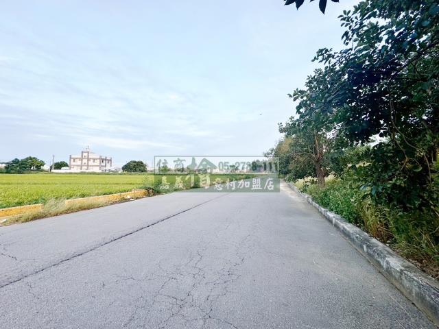 新港農地-11