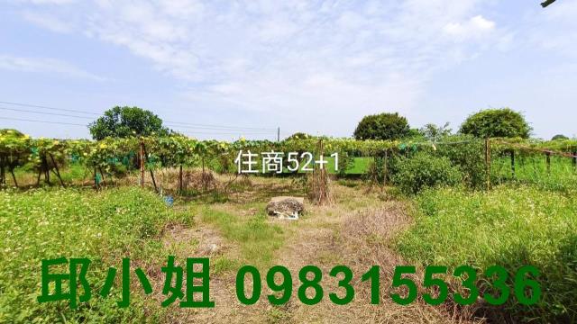 東區農地-1