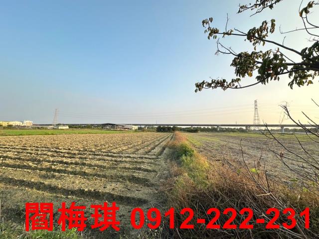 新市農地-6