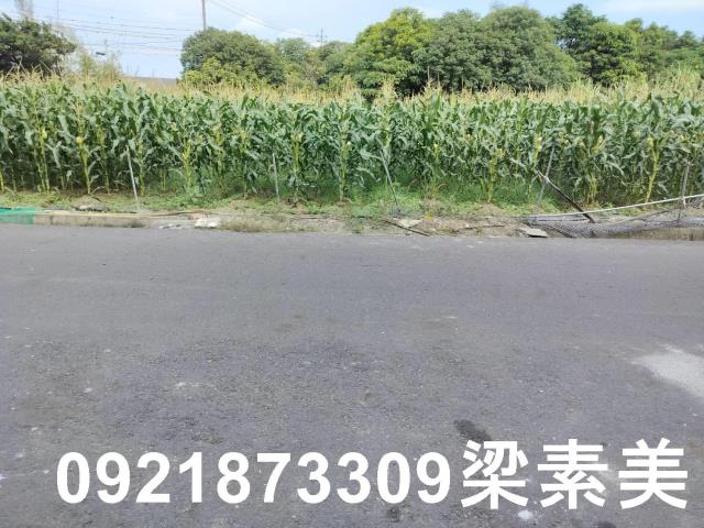 台南安定農地-2