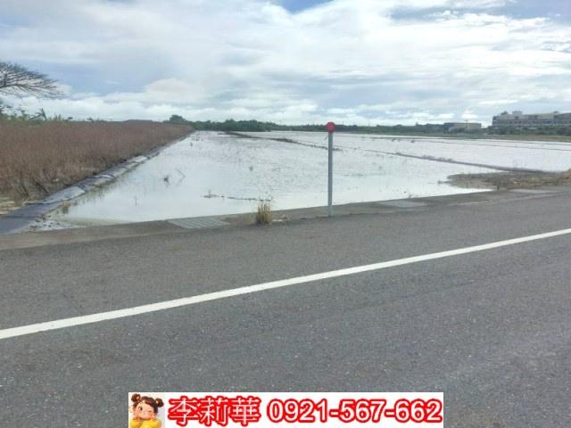 安南農地-5