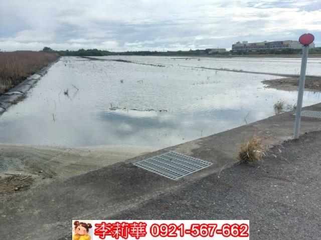 安南農地-6