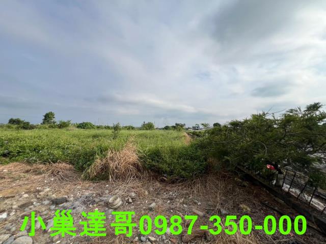 民雄農地-11