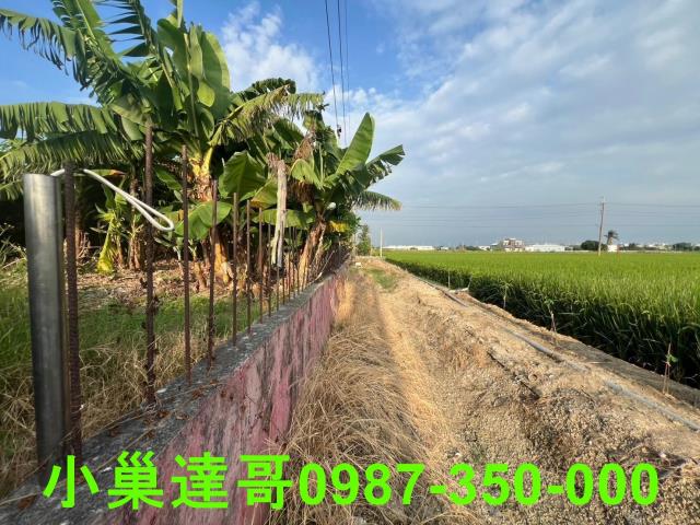 民雄農地-13