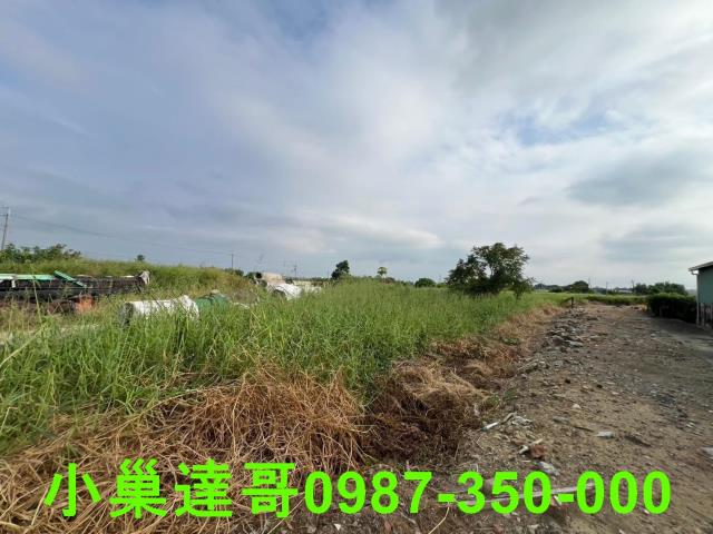 民雄農地-6