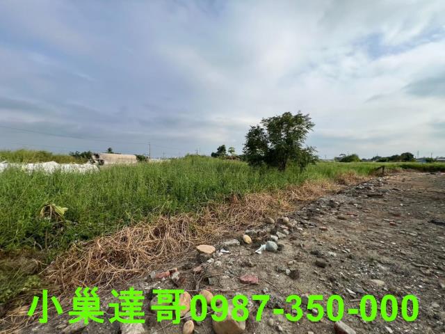 民雄農地-7