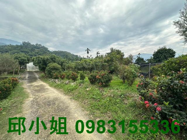 竹崎農地-10