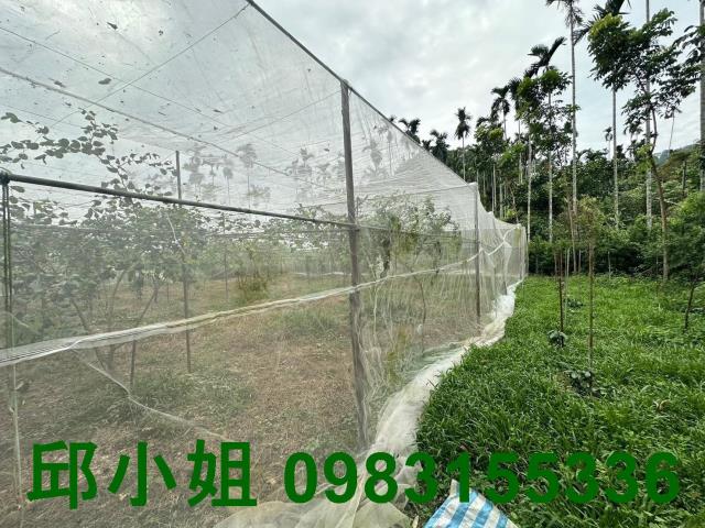 竹崎農地-5