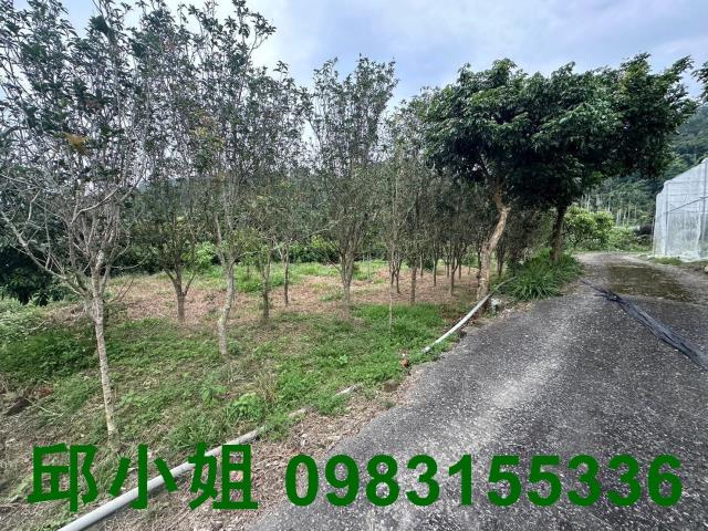 竹崎農地-9