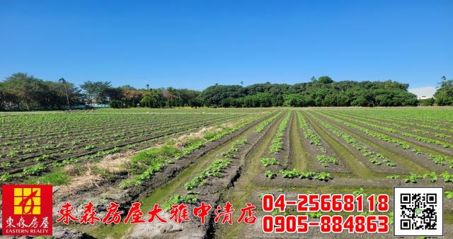 台中神岡農地-1