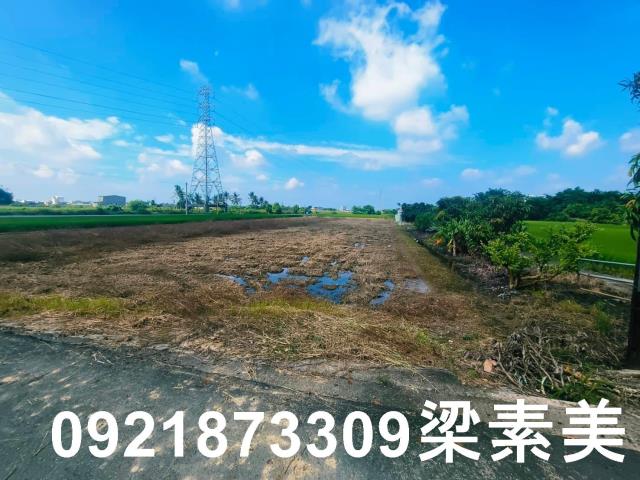 六甲農地-5